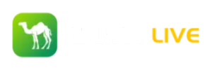 Camel Live